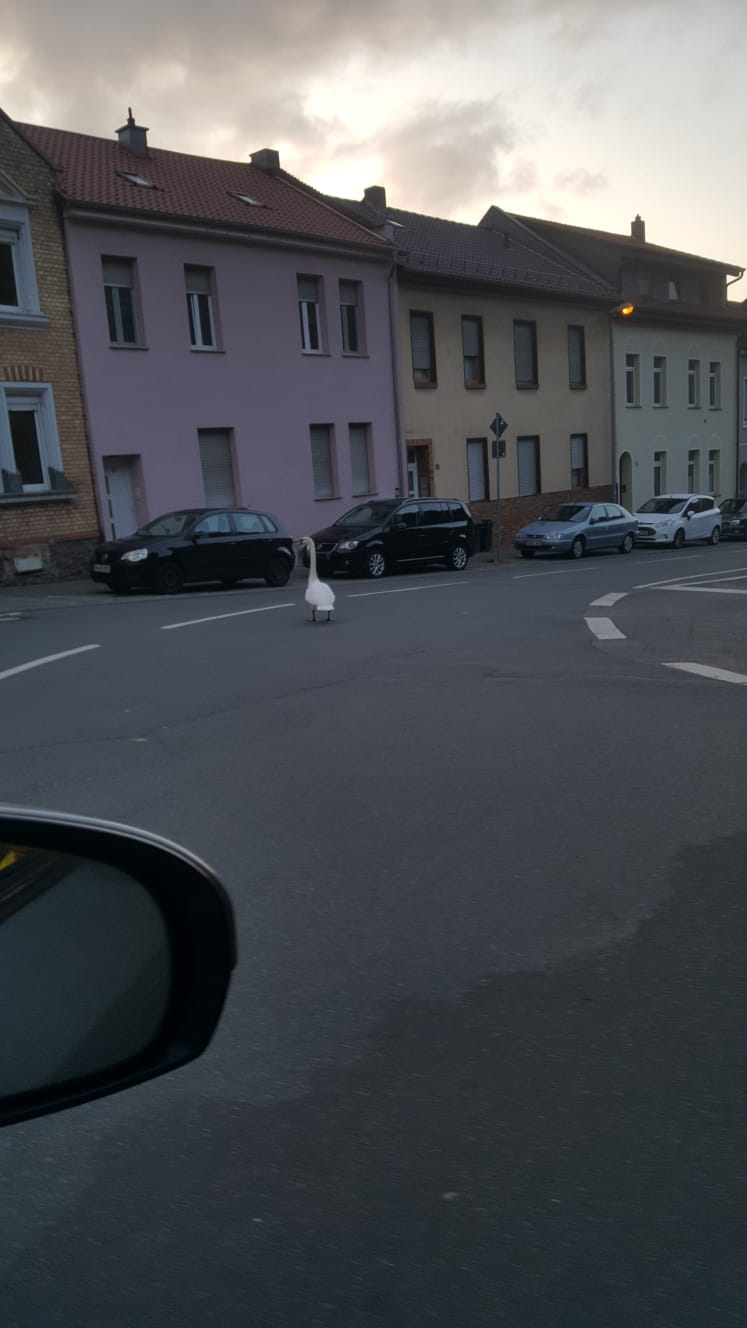 2019_10_03_Bild_1